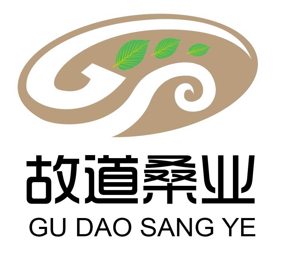 喝茶就可以防脫生發(fā)，太神奇了！桑葉養(yǎng)生茶