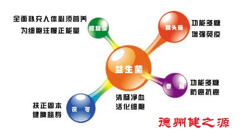夏天腸胃問題頻發(fā)，您應(yīng)該用益生菌了